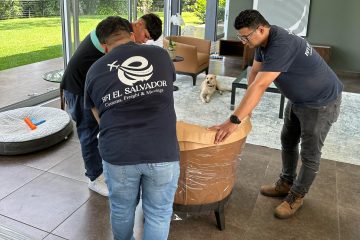 MOVING AND RELOCATION